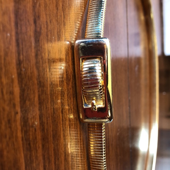 Gold snake belt main image 4